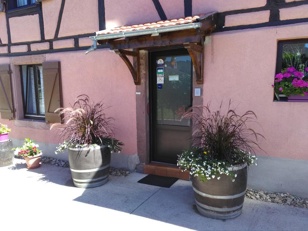 Gites & Camping On The Route Des Vins Bergheim Exterior photo
