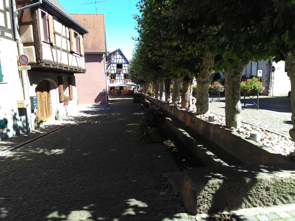 Gites & Camping On The Route Des Vins Bergheim Exterior photo
