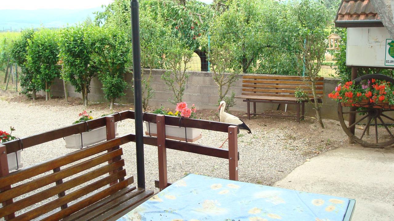 Gites & Camping On The Route Des Vins Bergheim Exterior photo
