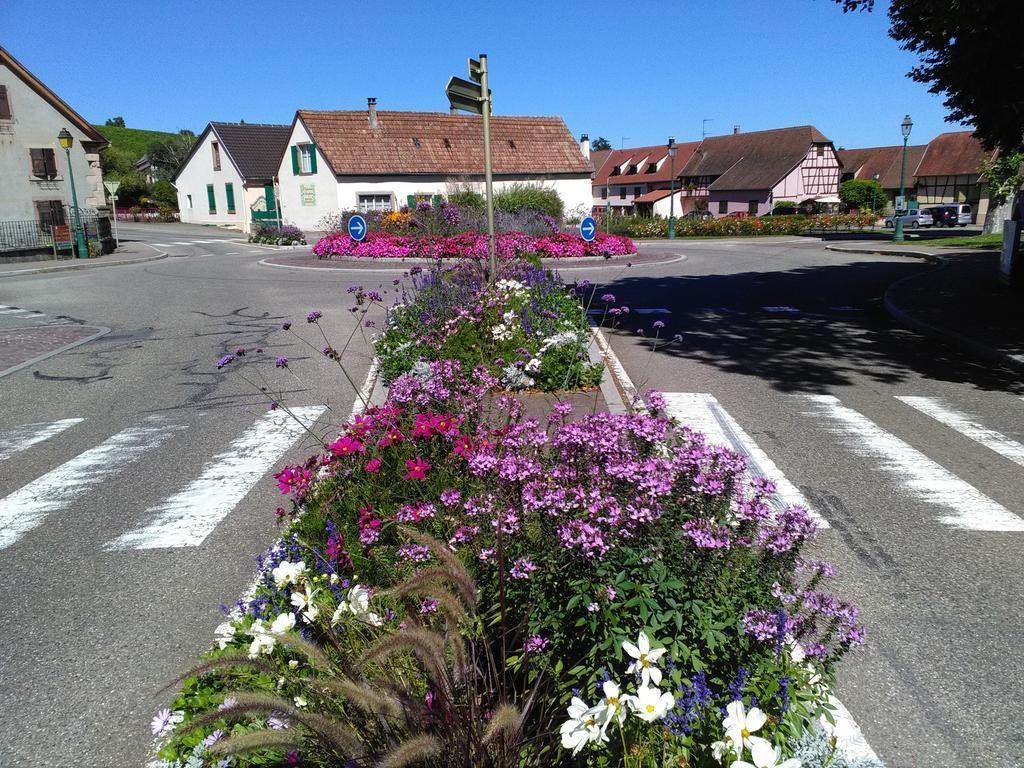 Gites & Camping On The Route Des Vins Bergheim Exterior photo